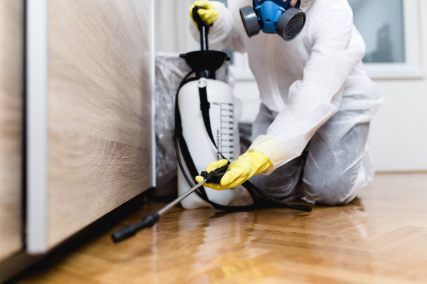 Best Emergency Pest Control  in Chevy Chase Heights, PA