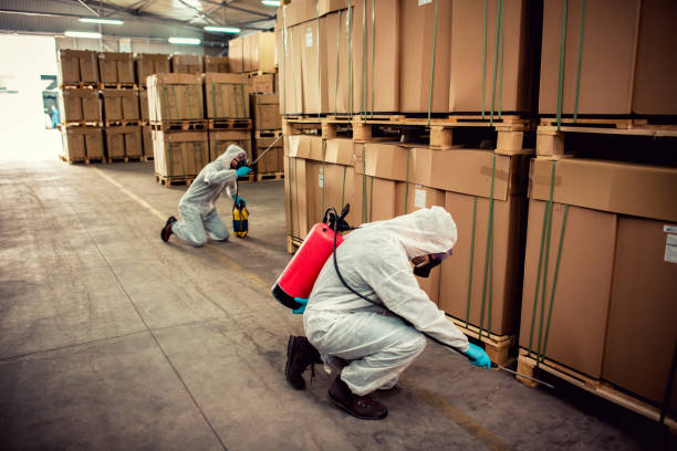 Best Affordable Pest Control Services  in Chevy Chase Heights, PA