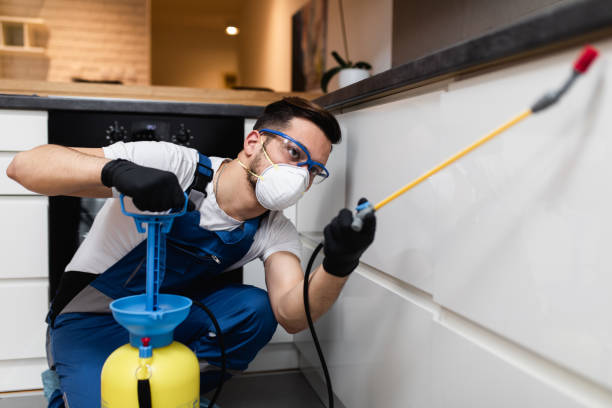 Best Flea Control Services  in Chevy Chase Heights, PA
