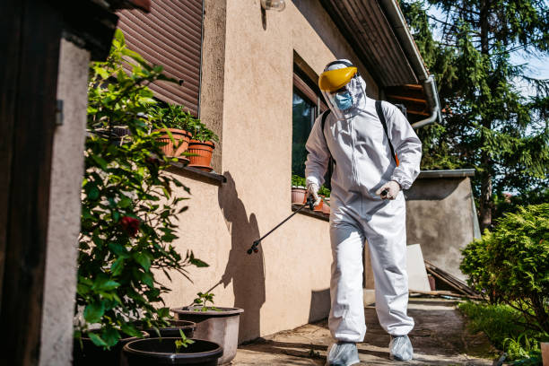 Best Pest Control Near Me  in Chevy Chase Heights, PA