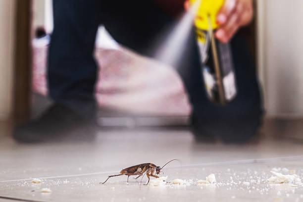 Best Local Pest Control Services  in Chevy Chase Heights, PA