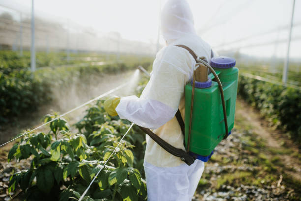 Best Local Pest Control Services  in Chevy Chase Heights, PA